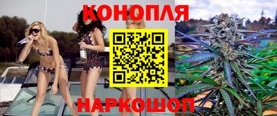 эйфоретик Тара