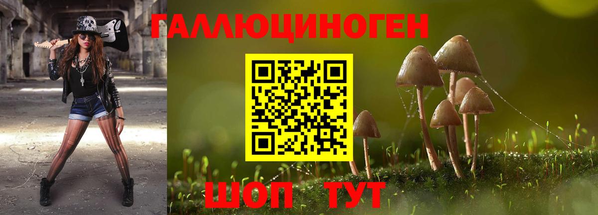 Псилоцибиновые грибы мицелий Омск